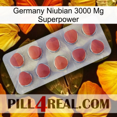 Germany Niubian 3000 Mg Superpower 18